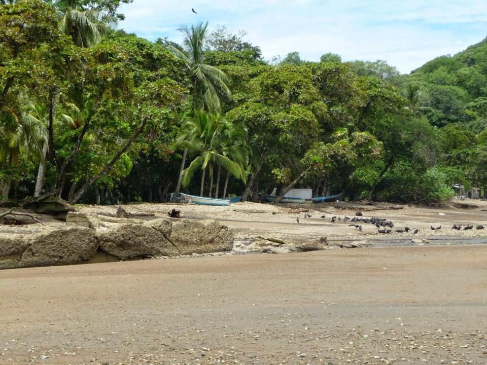 Autotour Road Trip Nature et Farniente au Costa Rica 2*-3* pas cher photo 9