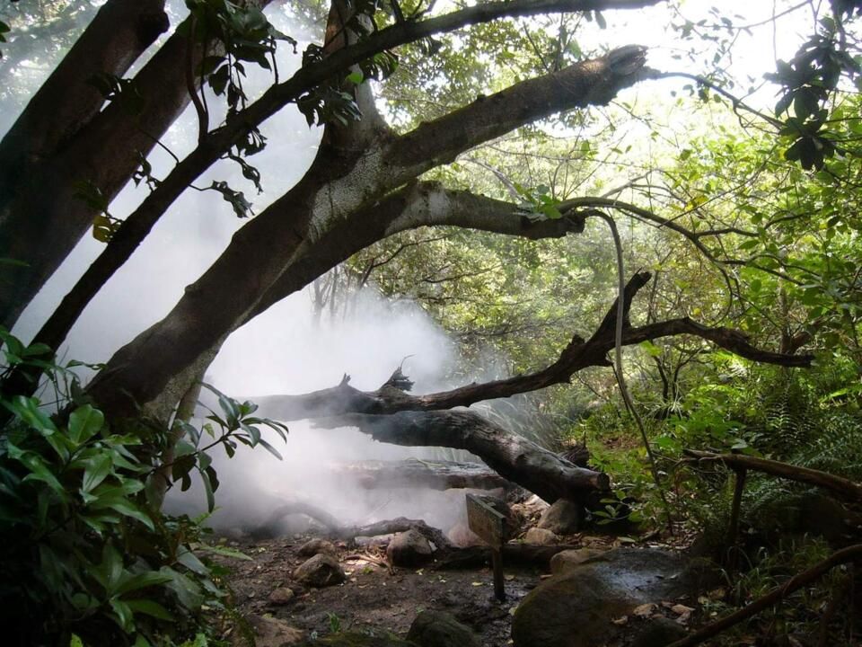 Autotour Road Trip Nature et Farniente au Costa Rica 2*-3* pas cher photo 10