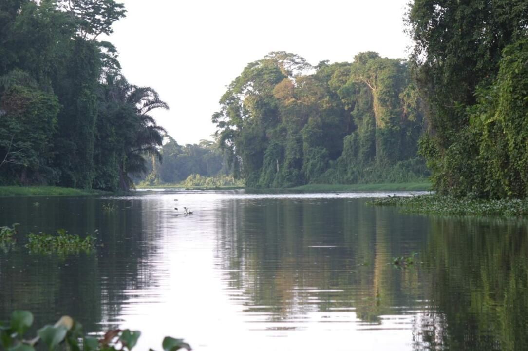 Autotour Road Trip de Tortuguero aux Plages du Pacifique 3*-4* pas cher photo 1