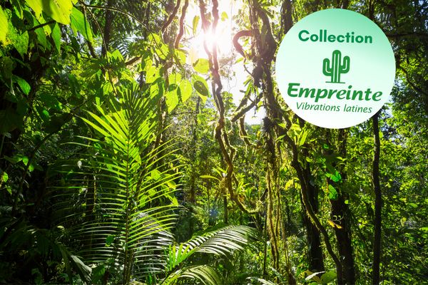 Circuit Jungle et Forêt au Pays de l'Or Noir pas cher photo 2