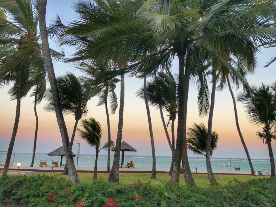 Hôtel Diani Reef Beach Resort 5*et Safari pas cher photo 8