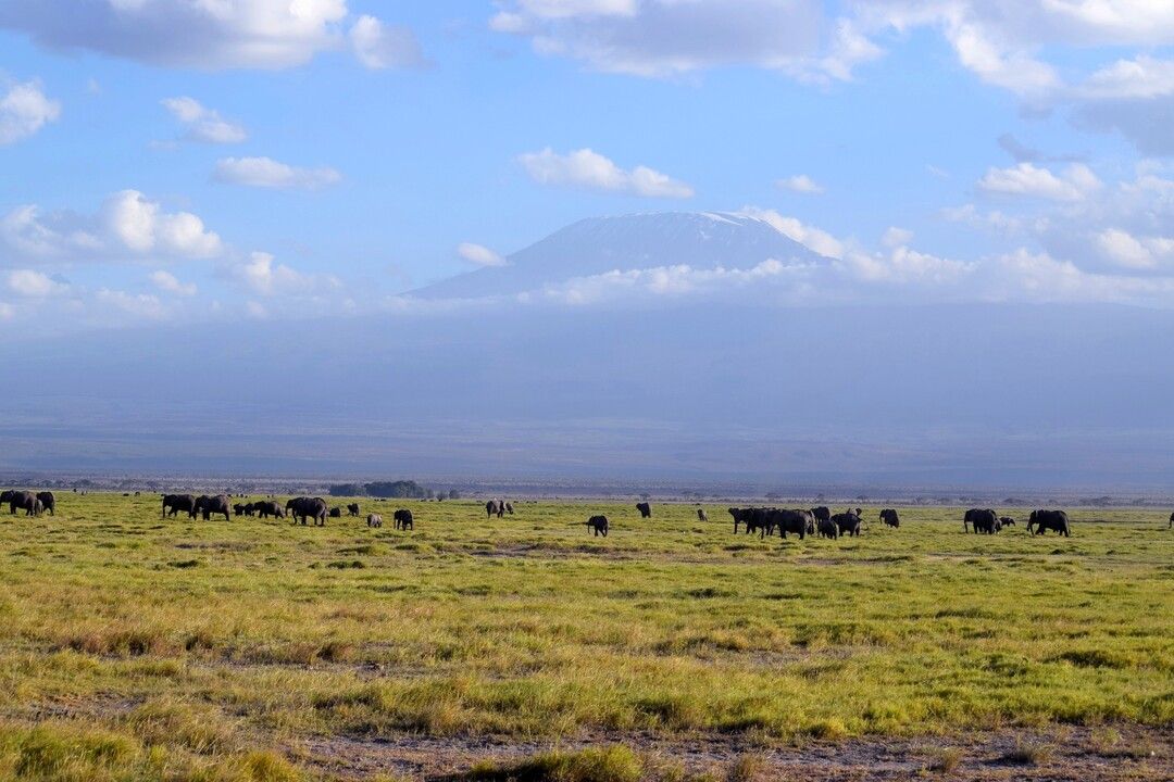 Circuit Privatif Safari Féeries d'Afrique 4* pas cher photo 3