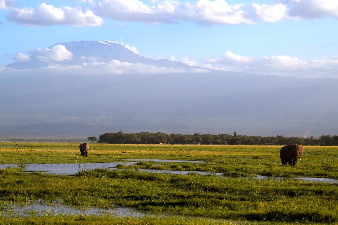 Circuit Privatif Safari Féeries d'Afrique 4* pas cher photo 9