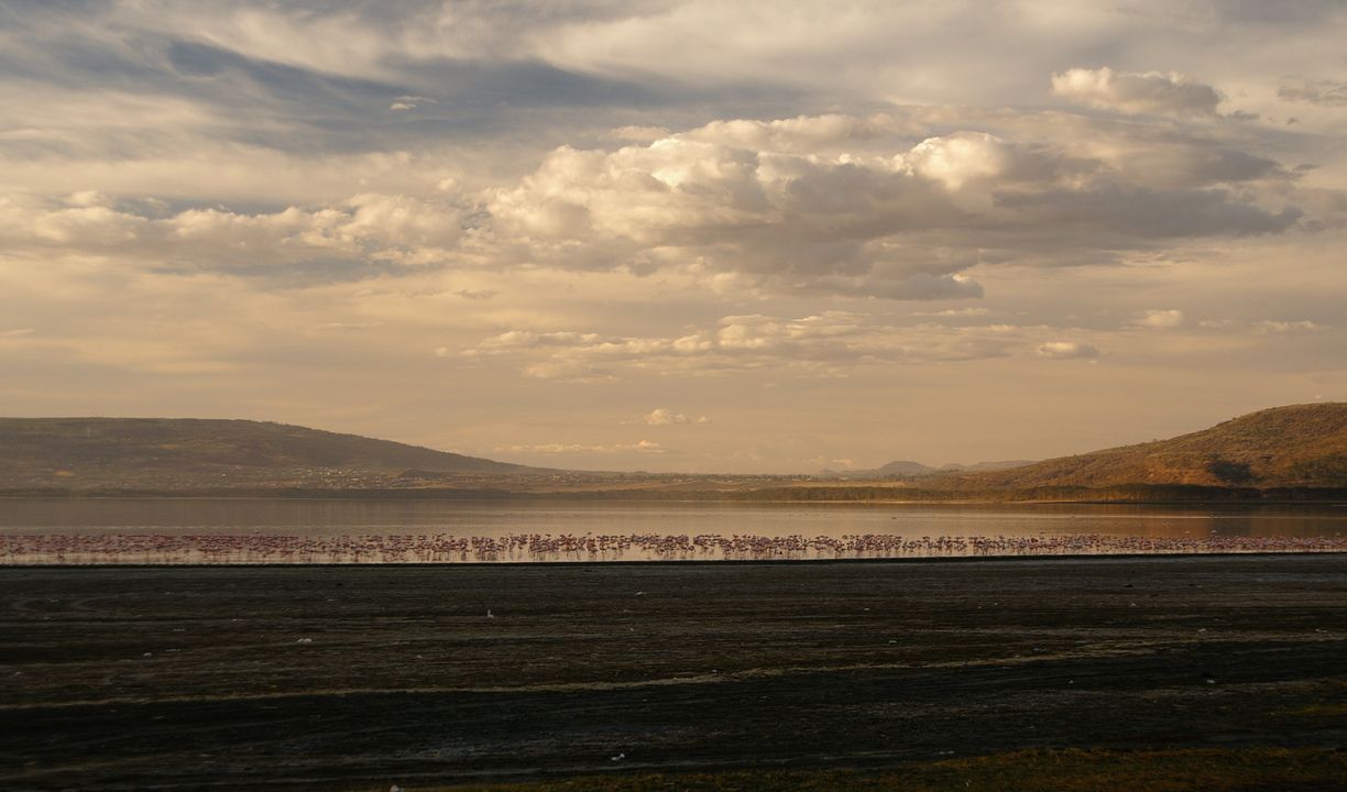 Circuit Privatif Safari Féeries d'Afrique 4* pas cher photo 12