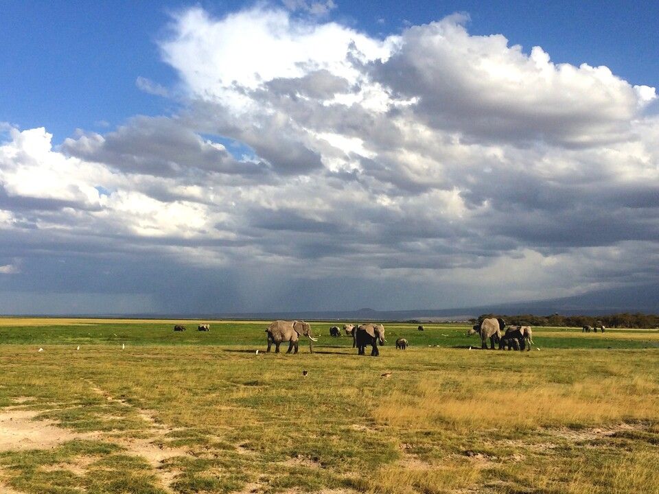 Circuit Privatif Safari Féeries d'Afrique 4* pas cher photo 17