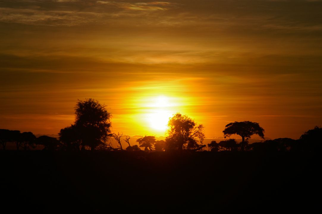 Circuit Privatif Safari Féeries d'Afrique 4* pas cher photo 20