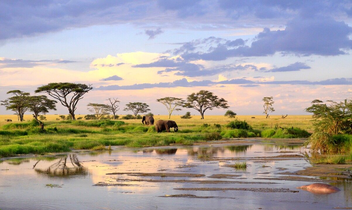 Mon Safari Privé Féeries d'Afrique pas cher photo 2