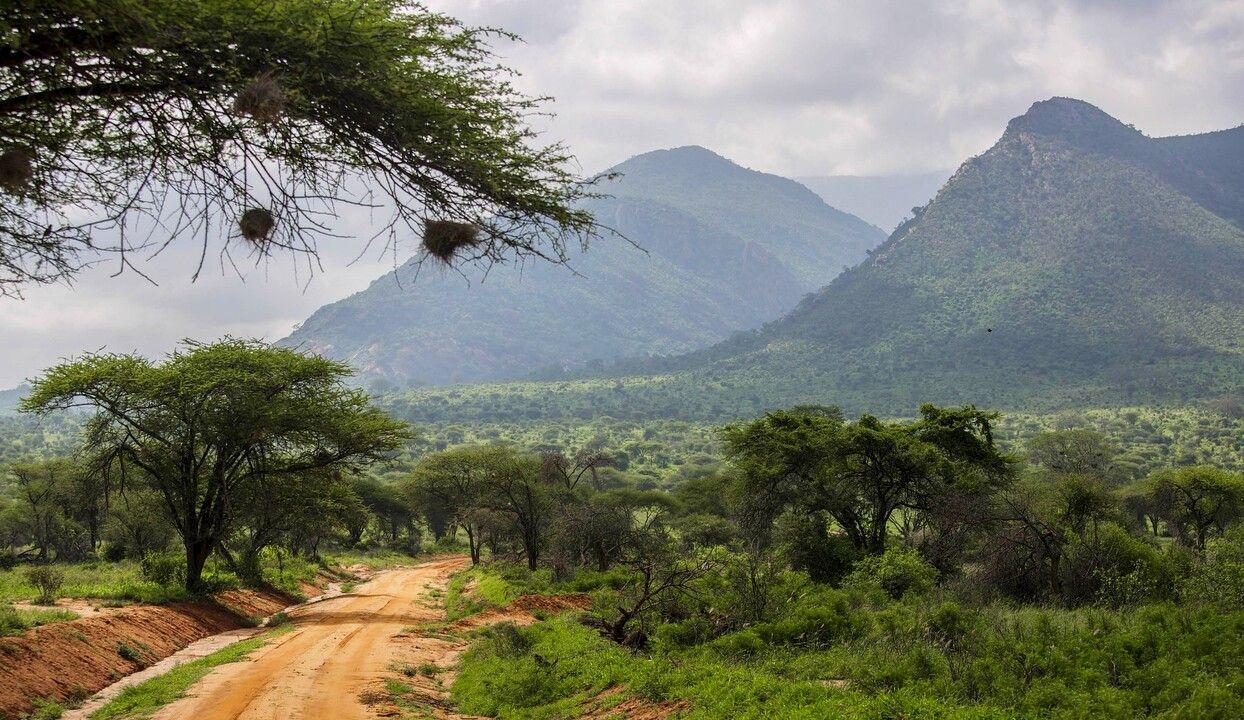 Mon Safari Privé Féeries d'Afrique pas cher photo 6