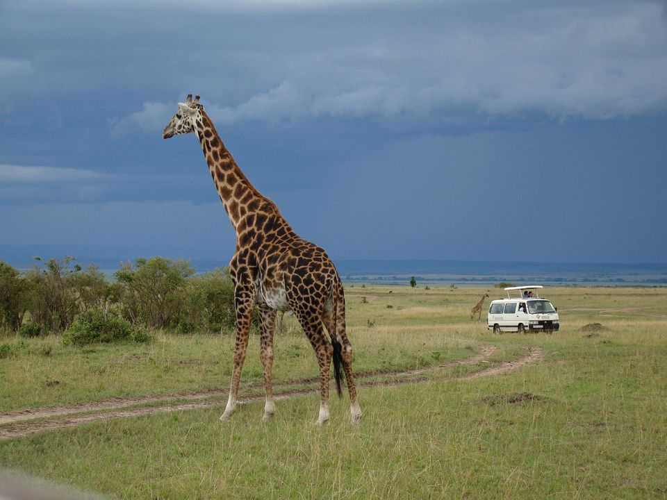 Mon Safari Privé Féeries d'Afrique pas cher photo 12