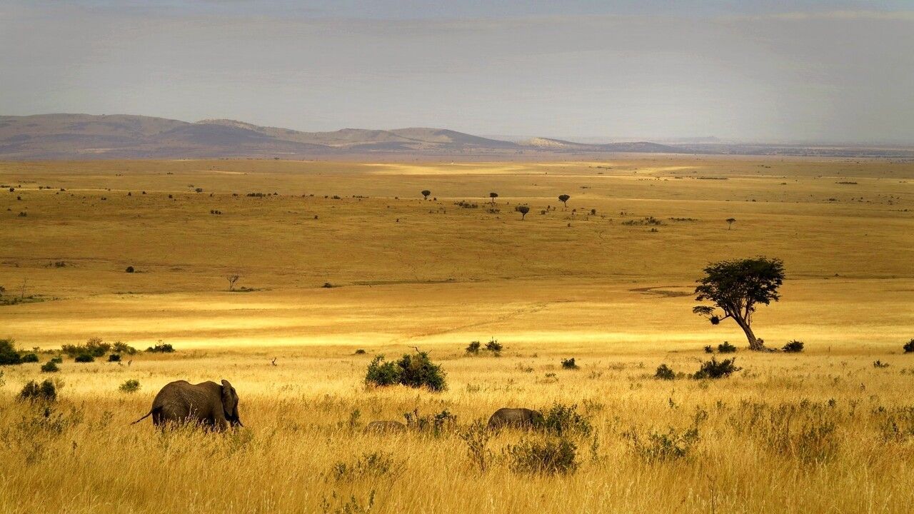 Mon Safari Privé Féeries d'Afrique pas cher photo 13