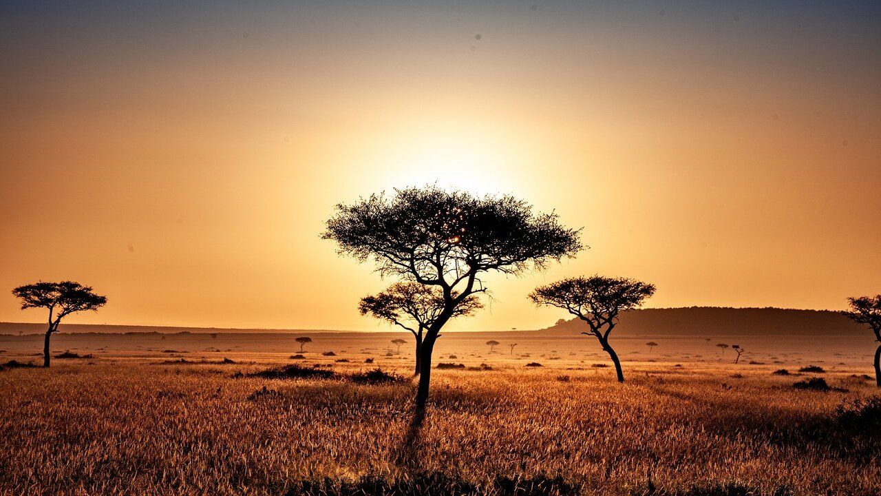 Mon Safari Privé Magie d'Afrique pas cher photo 6