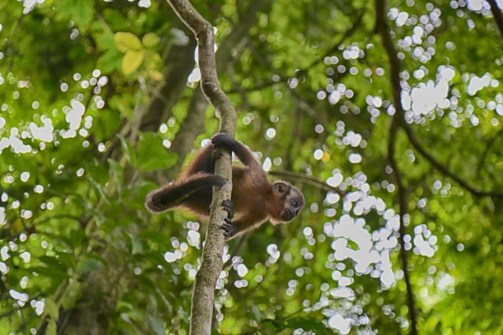 Circuit Evasion au Pérou et extension Amazonie 3*-4* pas cher photo 16