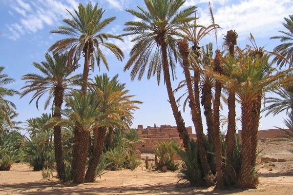 Circuit Marrakech, oasis et désert de Zagora pas cher photo 11