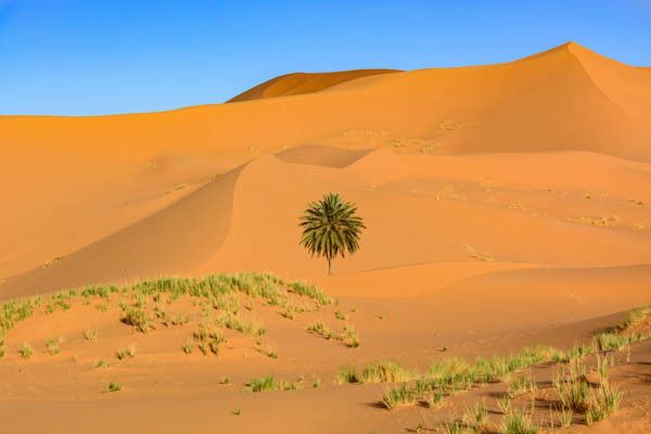 Circuit Voyage en liberté, de Marrakech aux dunes de Merzouga pas cher photo 7