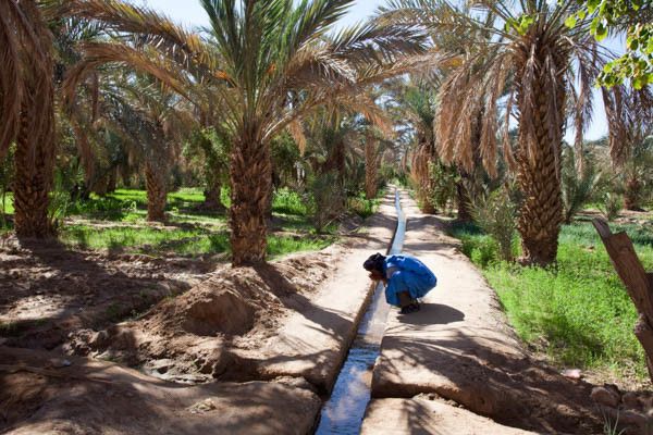 Circuit Voyage en liberté, de Marrakech aux dunes de Merzouga pas cher photo 6