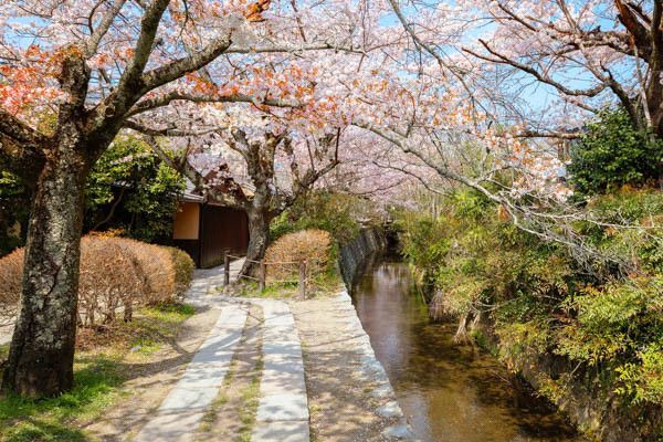 Circuit Voyage en liberté, le Japon, alliance du moderne et traditions 3* pas cher photo 12