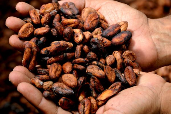 Circuit Aux Origines de la Colombie, Ethique et Responsable en Privatif pas cher photo 10