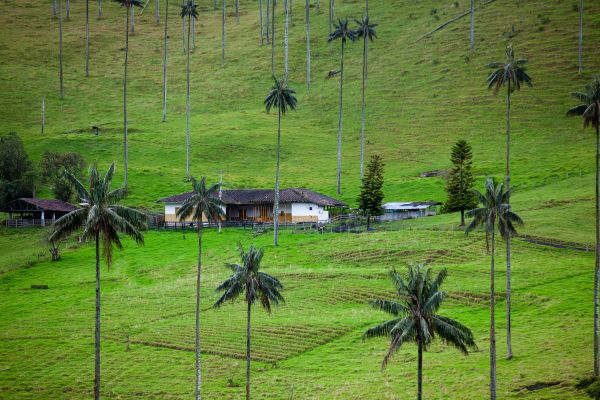 Circuit Aux Origines de la Colombie, Ethique et Responsable en Privatif pas cher photo 16