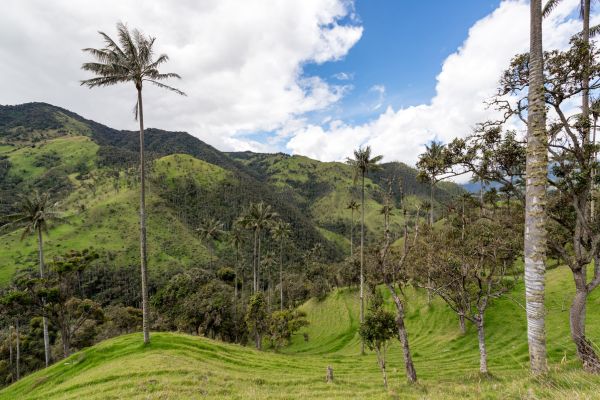 Circuit Aux Origines de la Colombie, Ethique et Responsable en Privatif pas cher photo 17