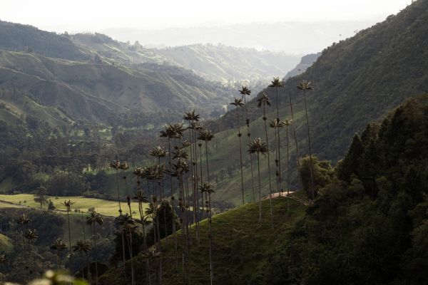 Circuit Aux Origines de la Colombie, Ethique et Responsable en Privatif pas cher photo 19