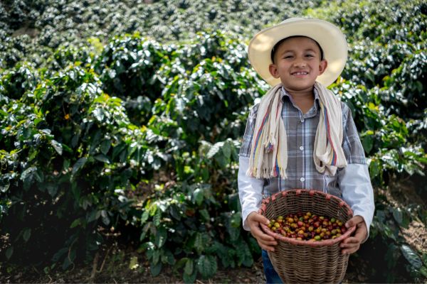 Circuit Aux Origines de la Colombie, Ethique et Responsable en Privatif pas cher photo 24