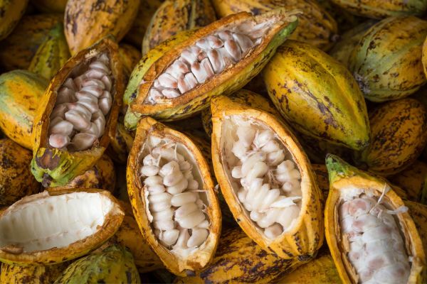 Circuit Aux Origines de la Colombie, Ethique et Responsable en Privatif pas cher photo 25