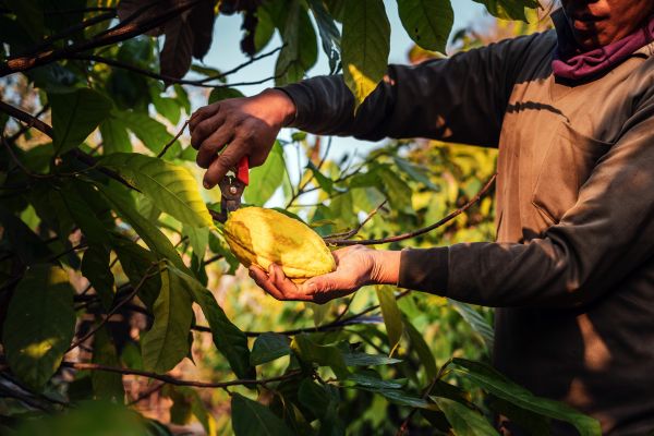 Circuit Aux Origines de la Colombie, Ethique et Responsable en Privatif pas cher photo 26