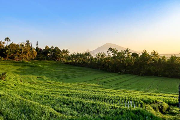 Circuit Traditions et culture balinaise en privatif et extension au Mövenpick Resort & Spa Jimbaran  pas cher photo 6