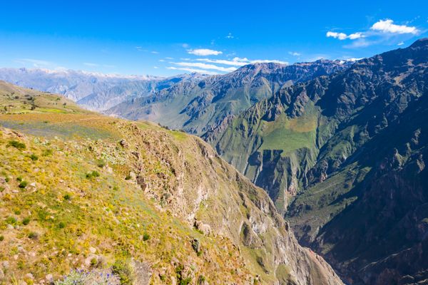Circuit Circuit Exploration Péruvienne : de Lima à la Jungle Amazonienne pas cher photo 19