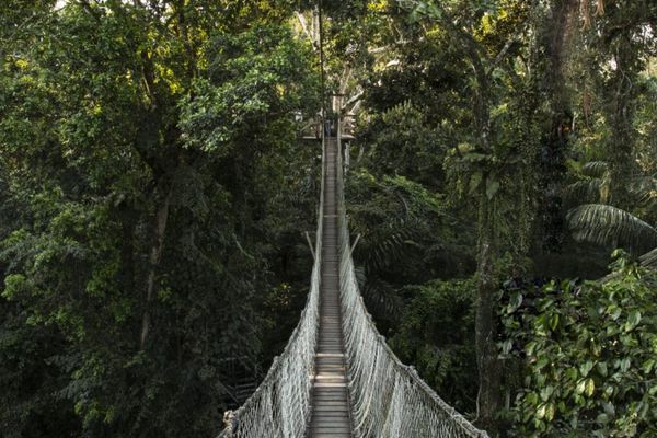 Circuit Circuit Exploration Péruvienne : de Lima à la Jungle Amazonienne pas cher photo 53