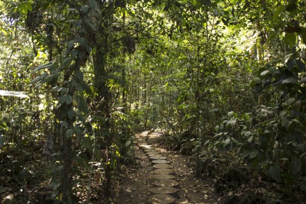 Circuit Circuit Exploration Péruvienne : de Lima à la Jungle Amazonienne pas cher photo 56
