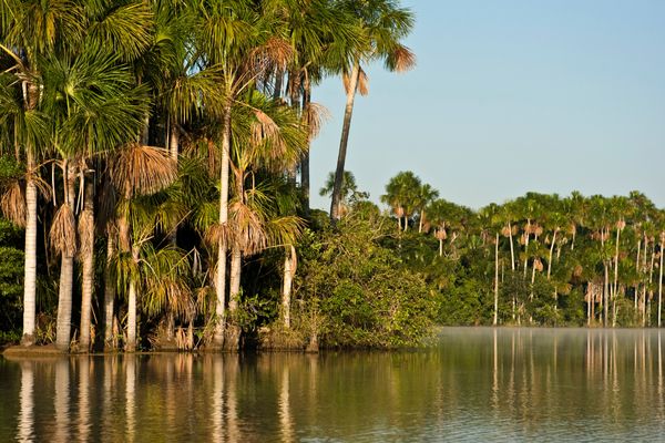 Circuit Circuit Exploration Péruvienne : de Lima à la Jungle Amazonienne pas cher photo 63