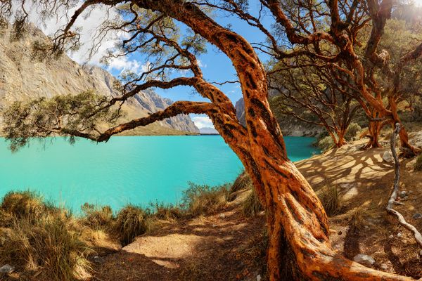 Circuit Exploration Péruvienne : de Lima à la Cordillère Blanche pas cher photo 53