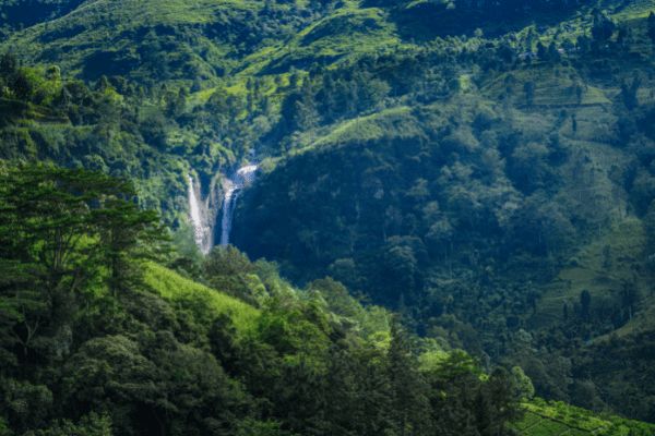 Circuit Sri Lanka Nature et Traditions en Privatif 3* pas cher photo 7