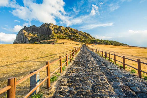 Circuit Voyage en liberté, les essentiels de Corée du Sud et extension île de Jeju 3* pas cher photo 18