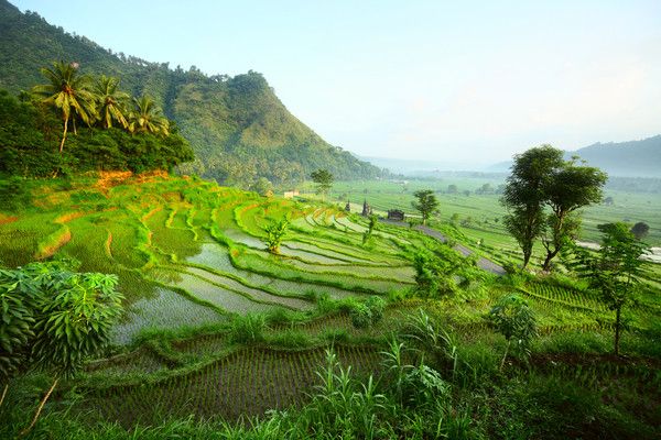 Combiné circuit et hôtel Balade à Bali et 5 nuits au Framissima Évasion Bali Tropic 5* pas cher photo 4
