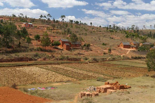 Circuit Intense Madagascar le long de la Route Nationale 7 2* pas cher photo 7