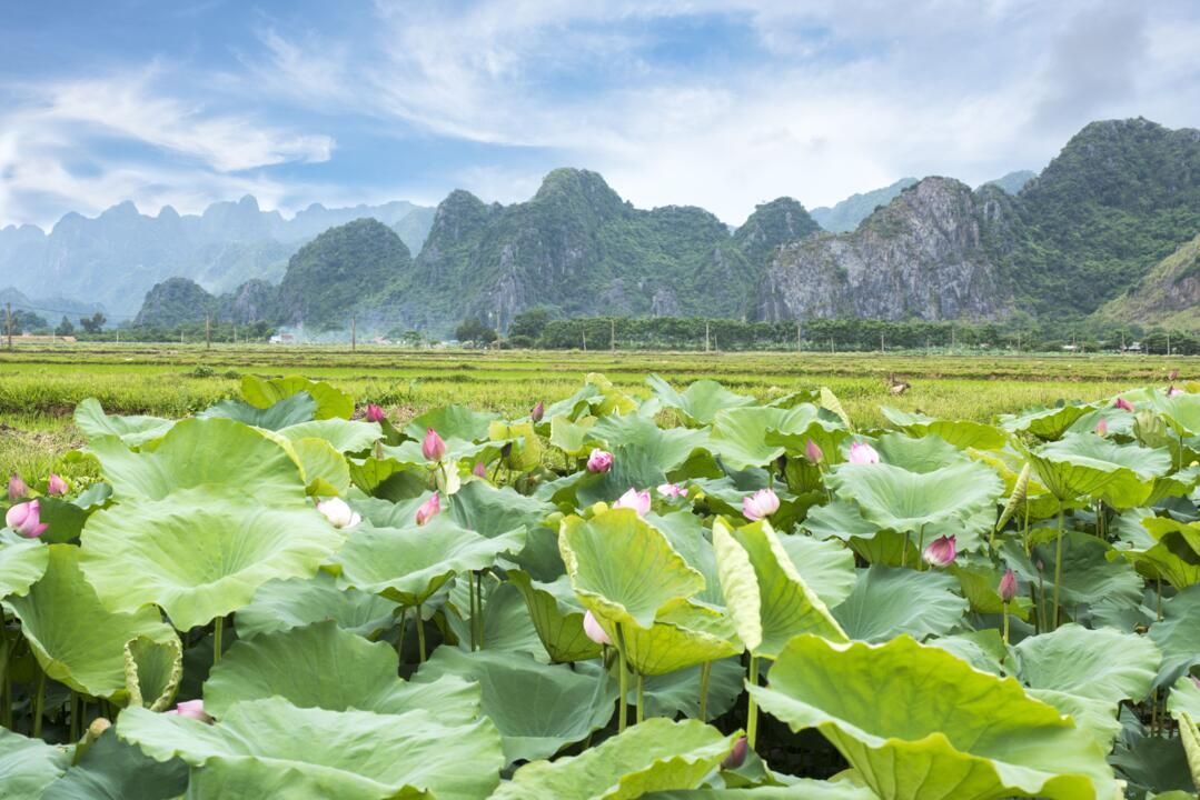 Circuit Privatif Mosaïque de Culture entre Vietnam et Laos 3* ou 4* pas cher photo 5