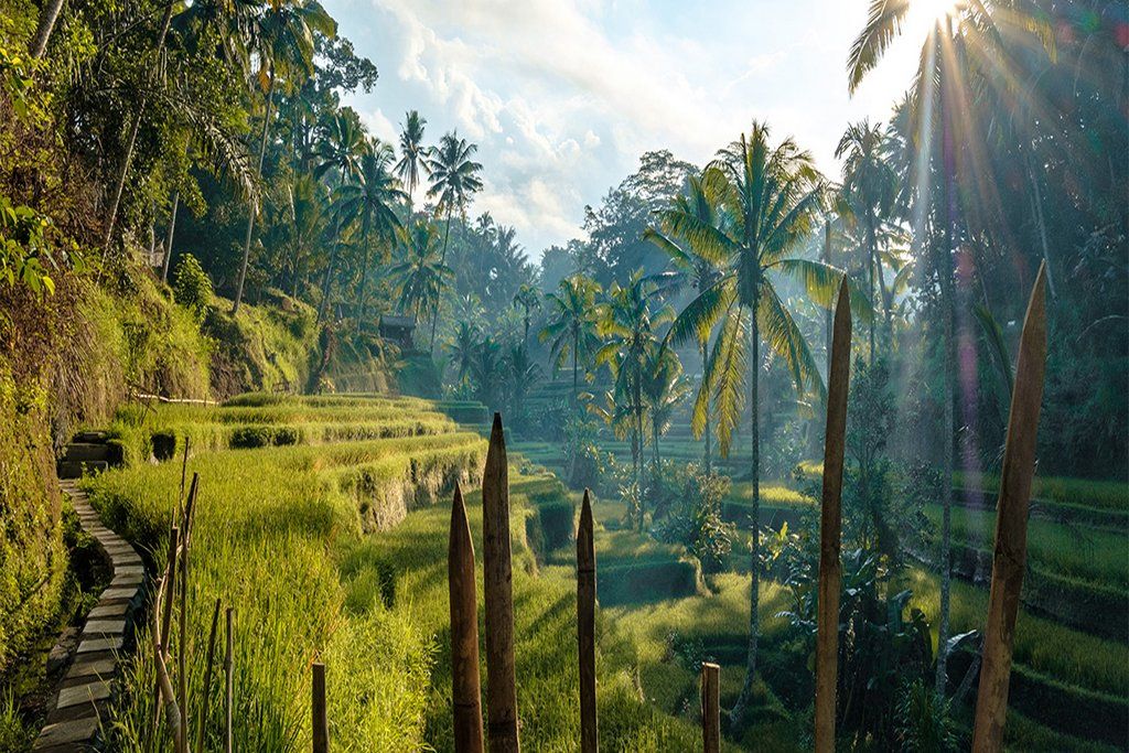 Combiné Charmes Balinais 3*-4* et Ôclub Select Hôtel Merusaka Nusa Dua 5* pas cher photo 5