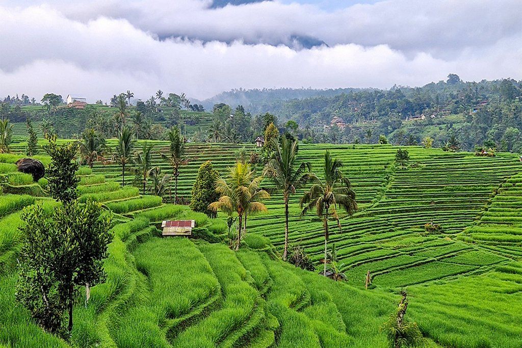 Combiné Charmes Balinais 3*-4* et Ôclub Select Hôtel Merusaka Nusa Dua 5* pas cher photo 6