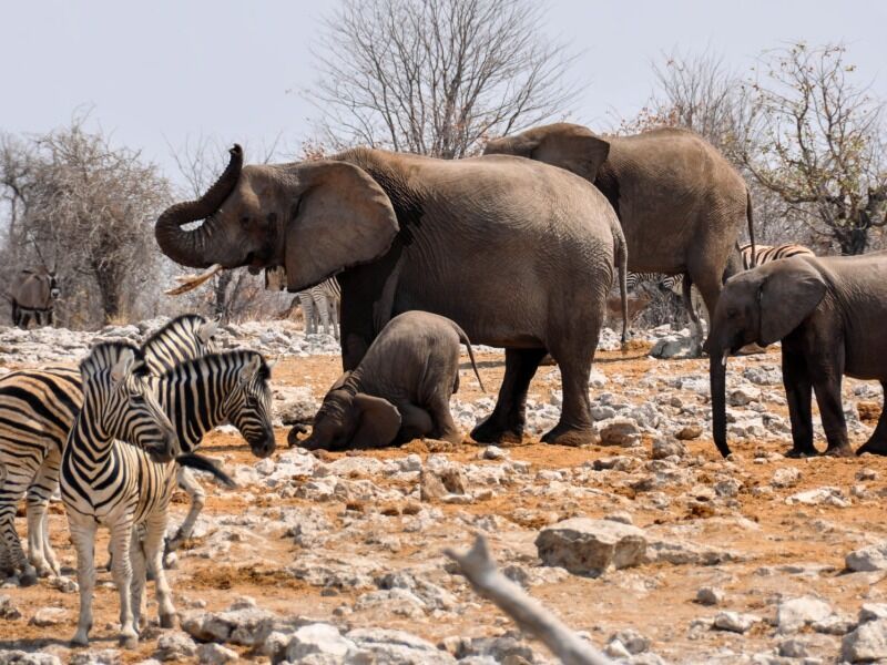 Circuit Grand Tour de Namibie 2*-3*-4* pas cher photo 4