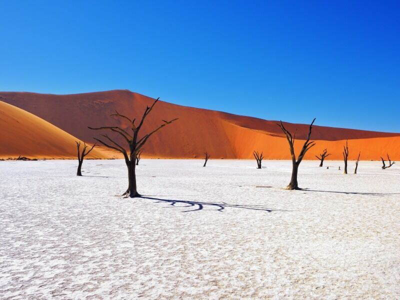 Circuit Grand Tour de Namibie 2*-3*-4* pas cher photo 8