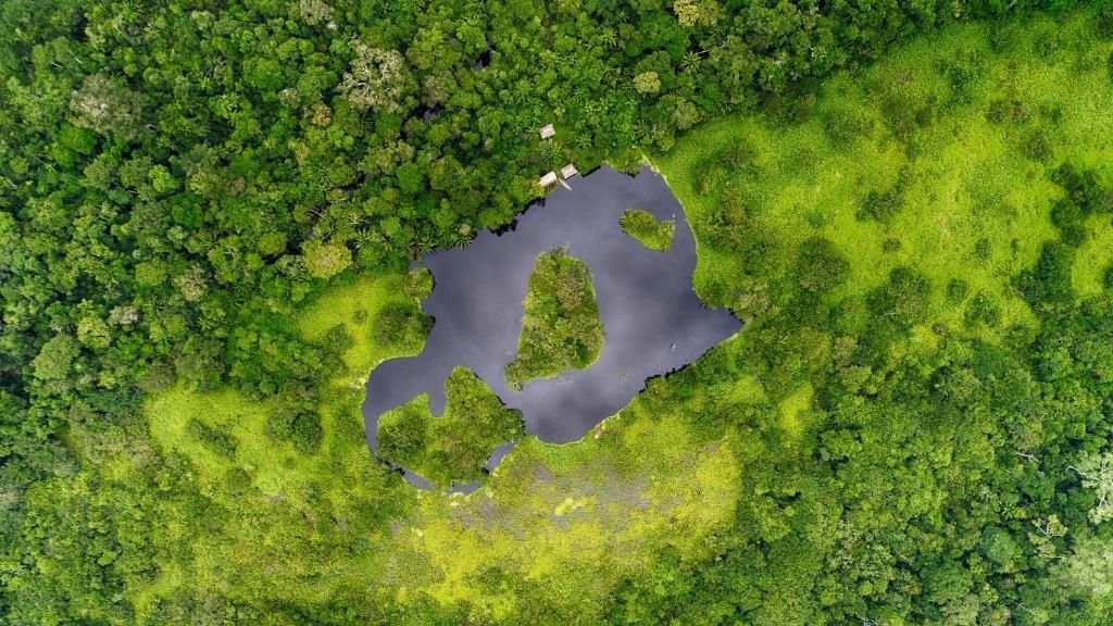 Circuit Privatif Joyaux Andins et extension Amazonie 3*-4* pas cher photo 4