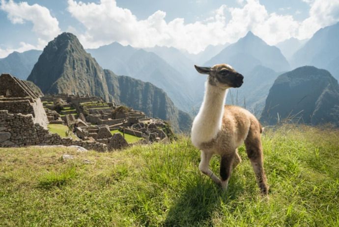 Circuit Privatif Epopée Péruvienne et extension Amazonie 3* ou 4* pas cher photo 23