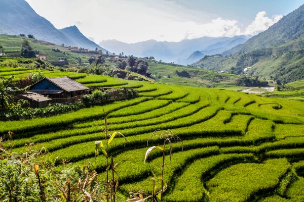Circuit Des Rizières de Sapa à la Légende du Tonkin 3* pas cher photo 18