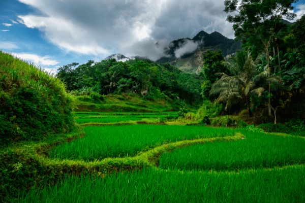 Circuit Des Rizières de Mai Chau à la Légende du Tonkin 3* pas cher photo 18