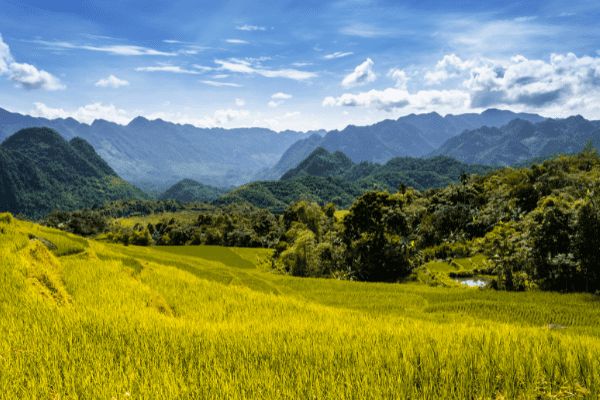 Circuit Des Rizières de Mai Chau à la Légende du Tonkin 3* pas cher photo 1