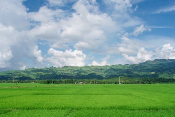 Circuit De La Plaine de Dien Bien Phu à la Baie d'Halong 3* pas cher photo 16