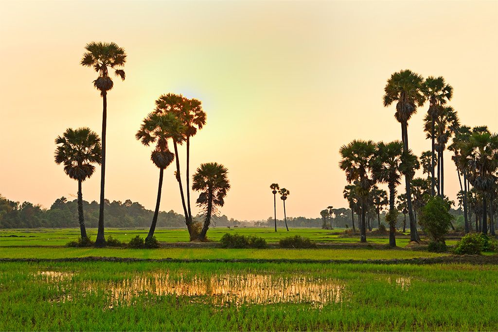 Circuit Découverte du Vietnam et Temples d'Angkor 4*-5* pas cher photo 1