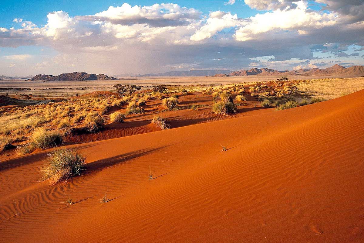 Circuit Pays Himba, Dunes et Réserves de Namibie 3* pas cher photo 6